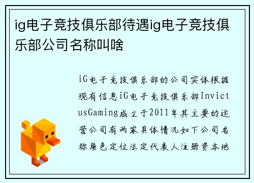 ig电子竞技俱乐部待遇ig电子竞技俱乐部公司名称叫啥