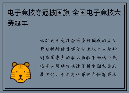 电子竞技夺冠披国旗 全国电子竞技大赛冠军